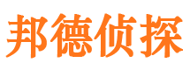 上海市调查公司